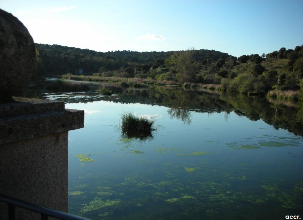 Presa del Aulencia. by angel.ecr