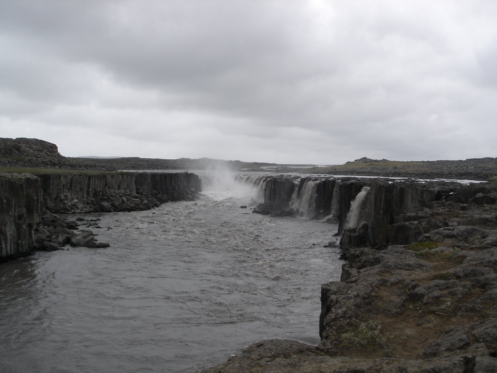 Dettifoss by lu20