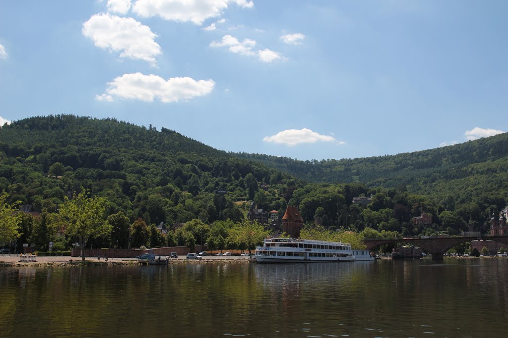 Blick auf Miltenberg im Juli 2013 by kdh865