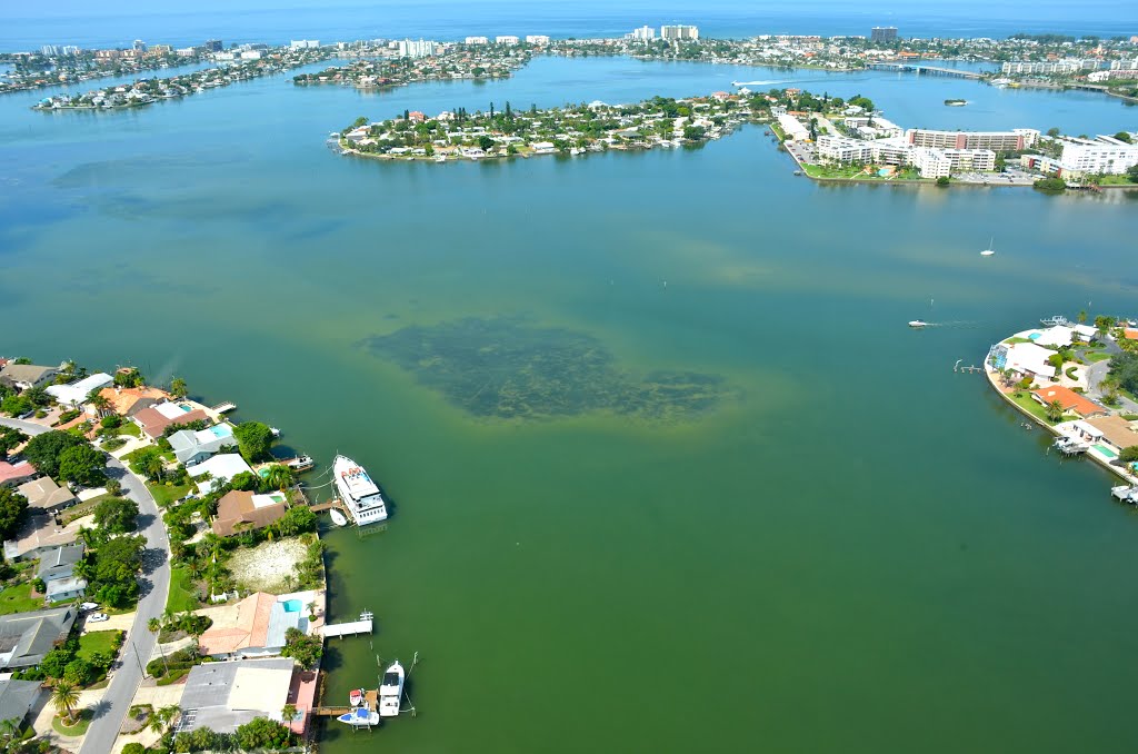 FLORIDA, USA by Trude Rini Forde