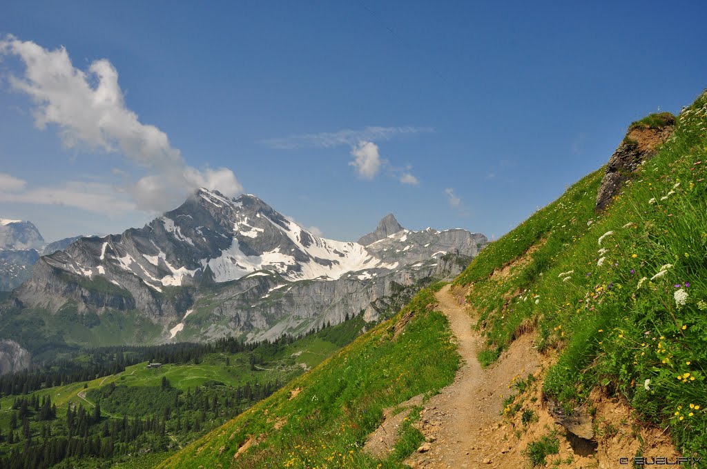 Braunwald - Panoramaweg Gumen (© Buelipix) by Buelipix