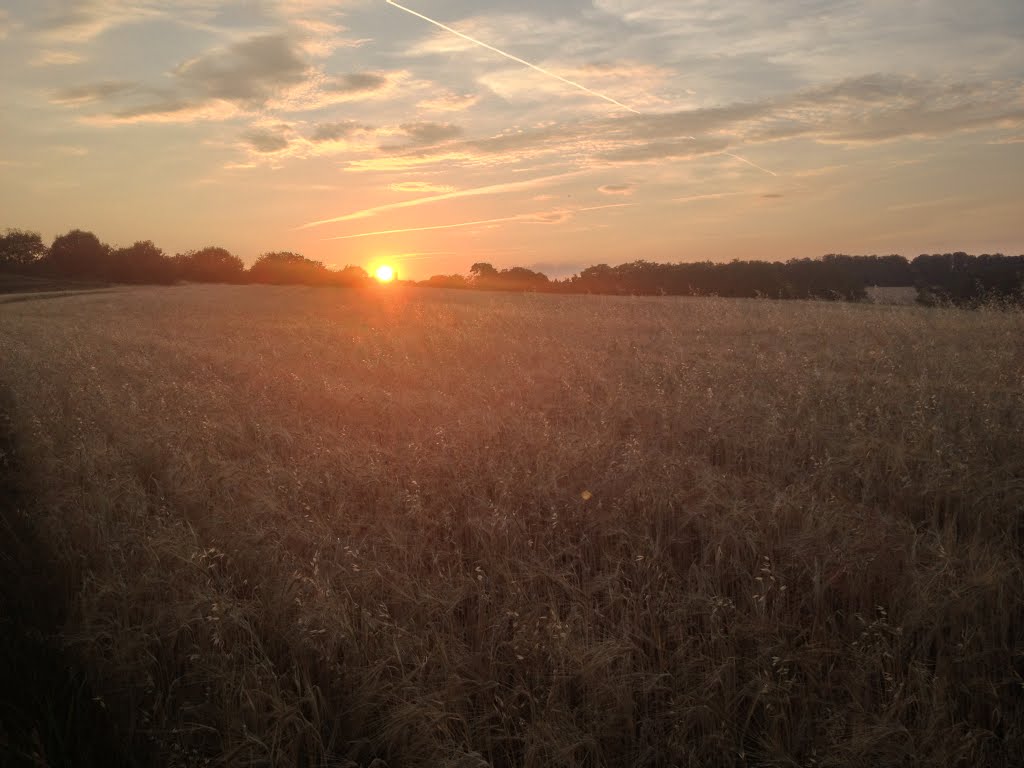 Summer Sunset by David Stocker