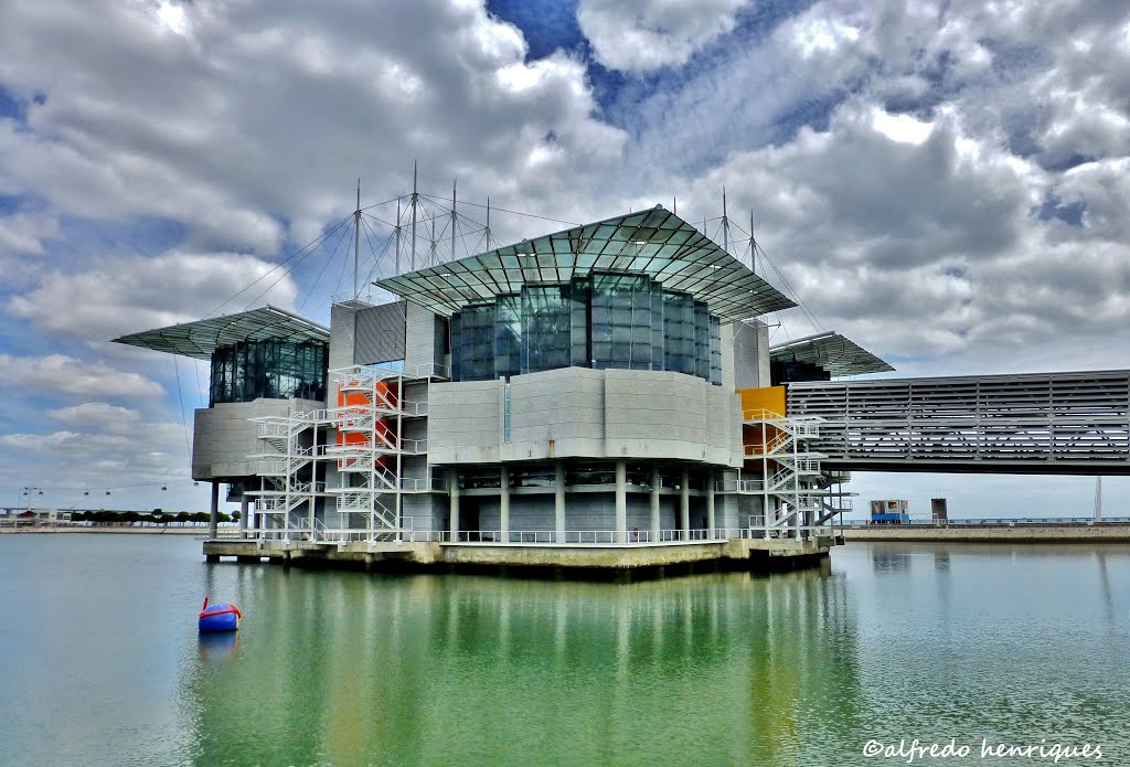 Oceanário de Lisboa *** Lisbon Oceanarium by Alfredo Henriques