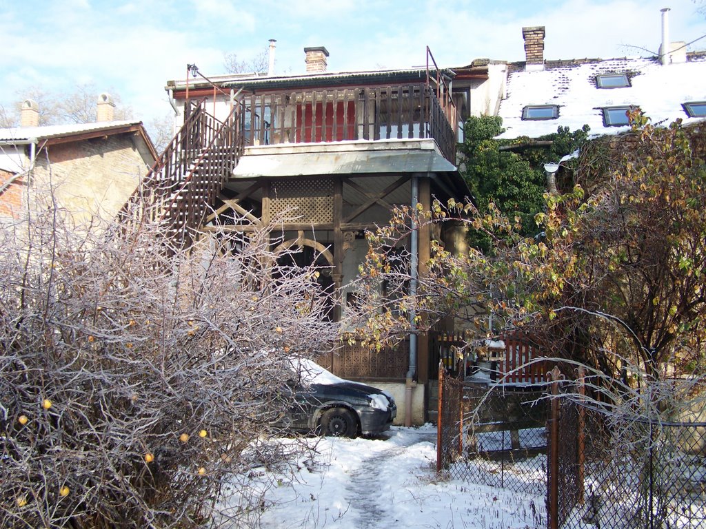 Budapest Tisztviselőtelep jég3. by L.Márti