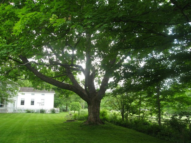 The Inn at Brandywine Falls by DSull