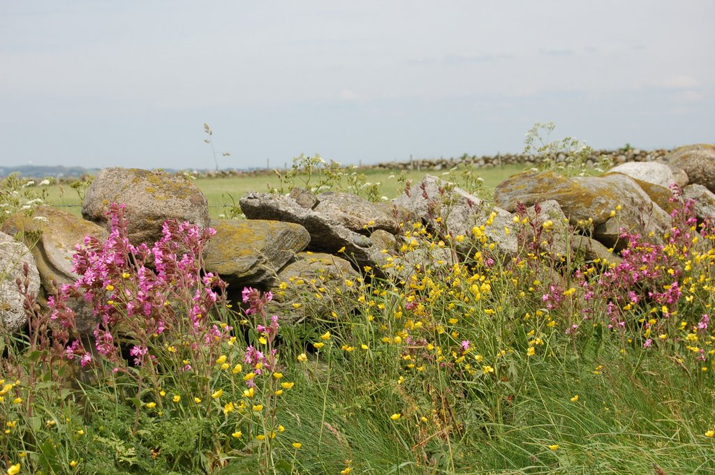 Jæren by mariba12