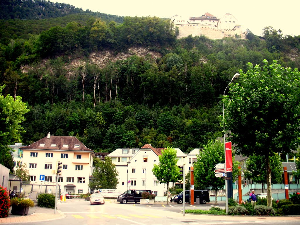 Vaduz castle up by Bzsuu