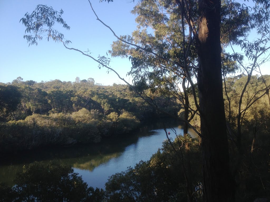 Lane Cove River by Steve777