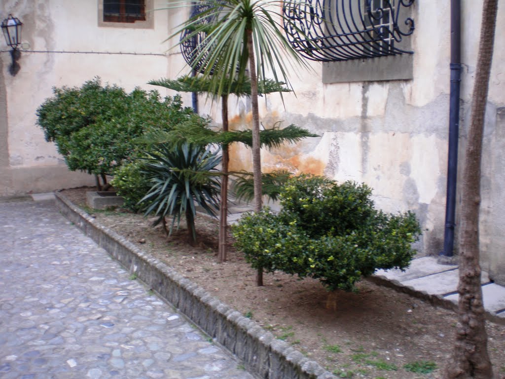 Santuario di San Francesco - Paola by Claudio Sirimarco