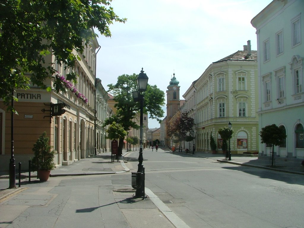 Székesfehérvár,Hungary by Béla Török