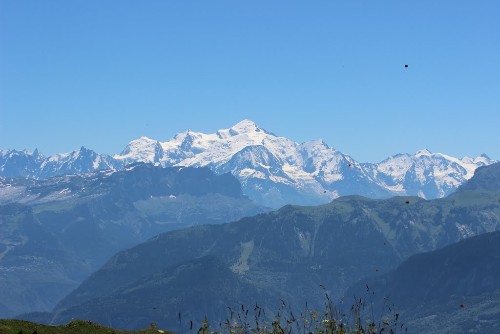 Mont Blanc seen from Le Môle by 6004592