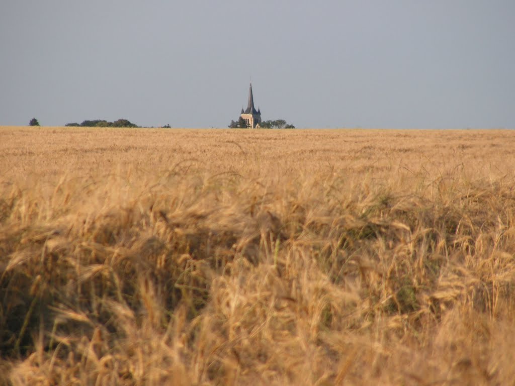 Le Grenier à Blé monte au Clocher de St Pierre... by Florence Auburtin