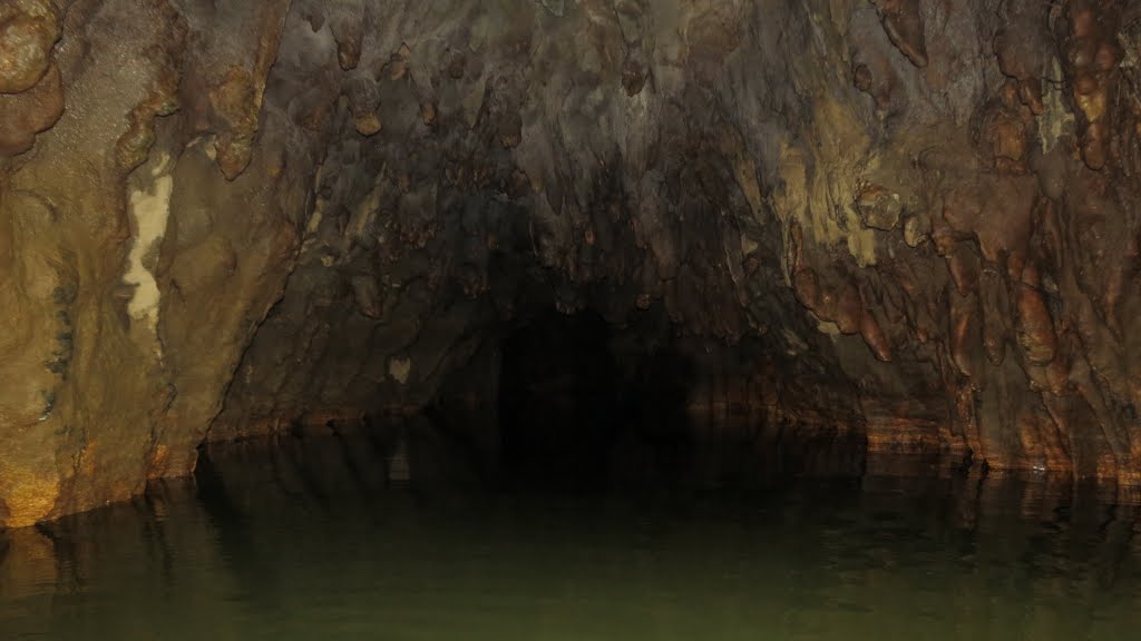 Waitomo Caves, Waitomo by Bob Linsdell