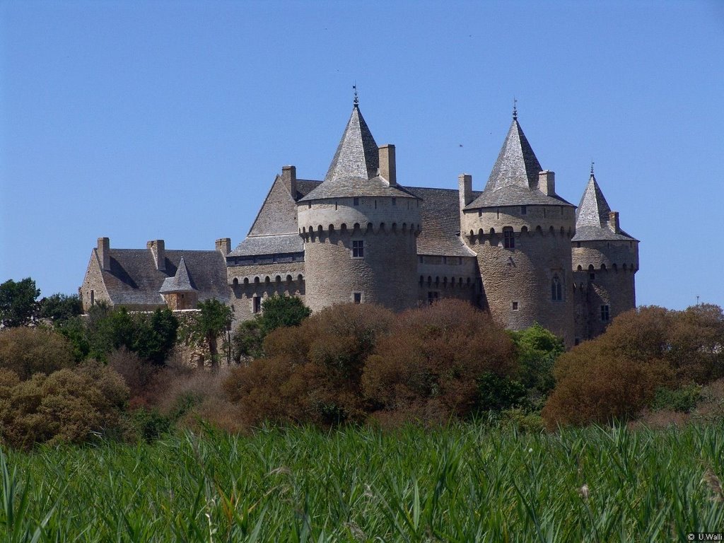 Château de Suscinio by U.Walli