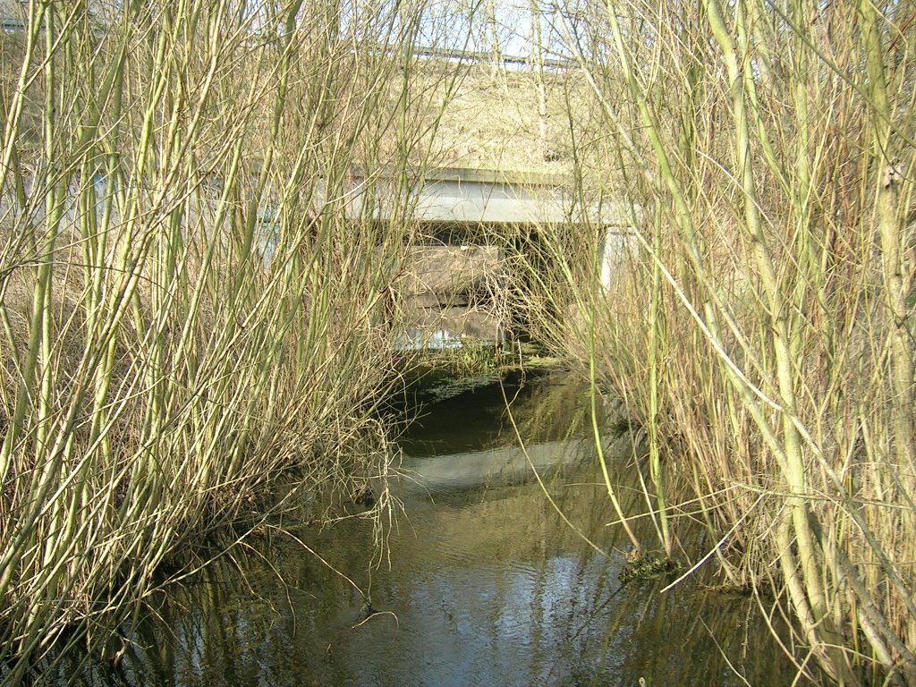 Lietzengraben nach Unterquerung der Bucher Str. (Karower Teiche) by periskop