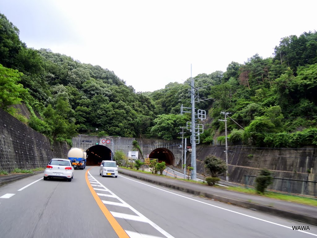 国道173　能勢街道　一庫トンネル by mandegan