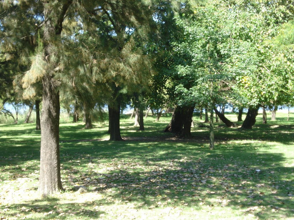 Árboles en el Parque General Belgrano by PabloSaFe