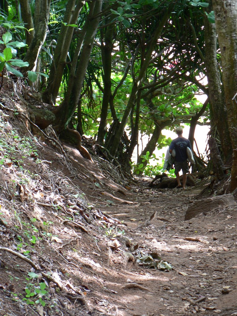 Trail to Secret Beach by patlit