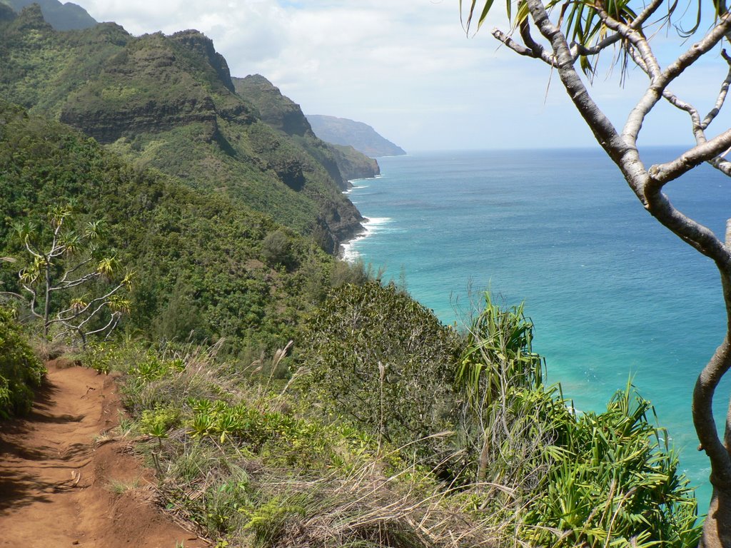 Napali Coast from Halalau Trail by patlit