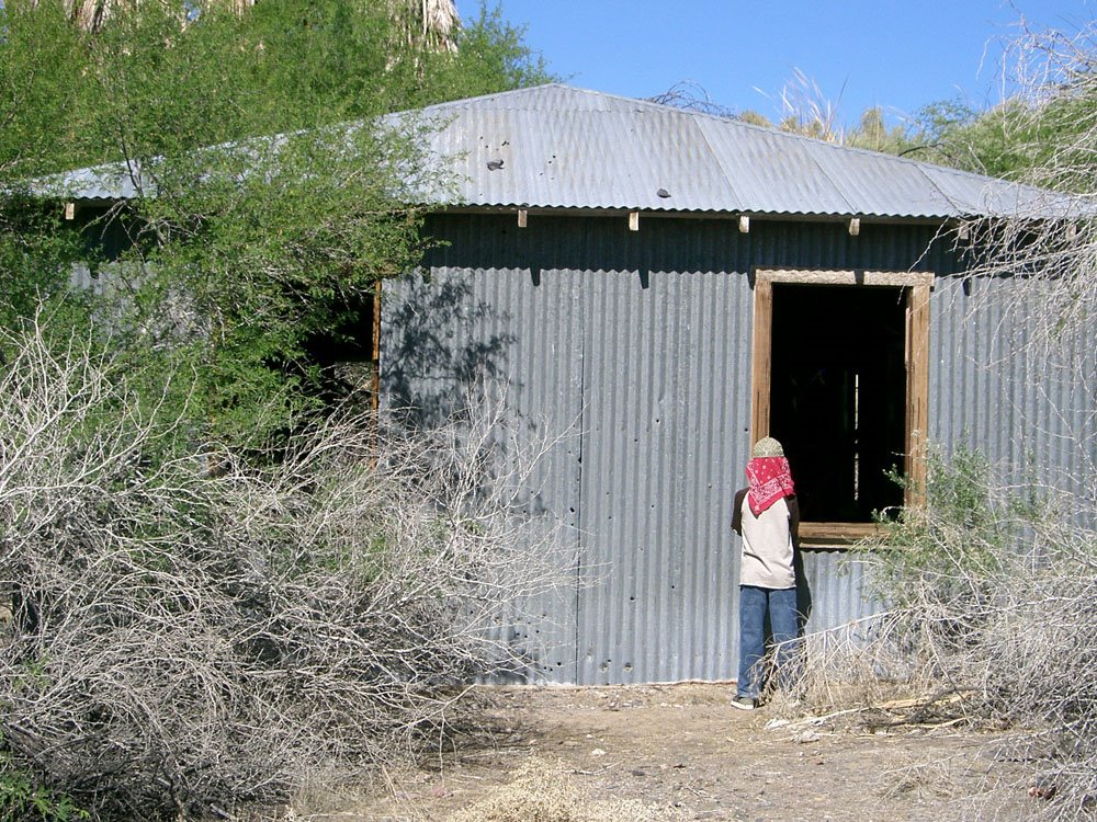 Looking into the Tin Man's house by Bill Cook