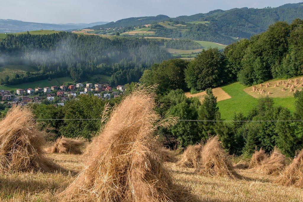 Beskid Sądecki-Rytro by tadeusz dziedzina©