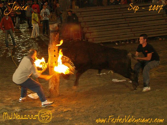 Toro embolado en Septiembre by PMACARTE