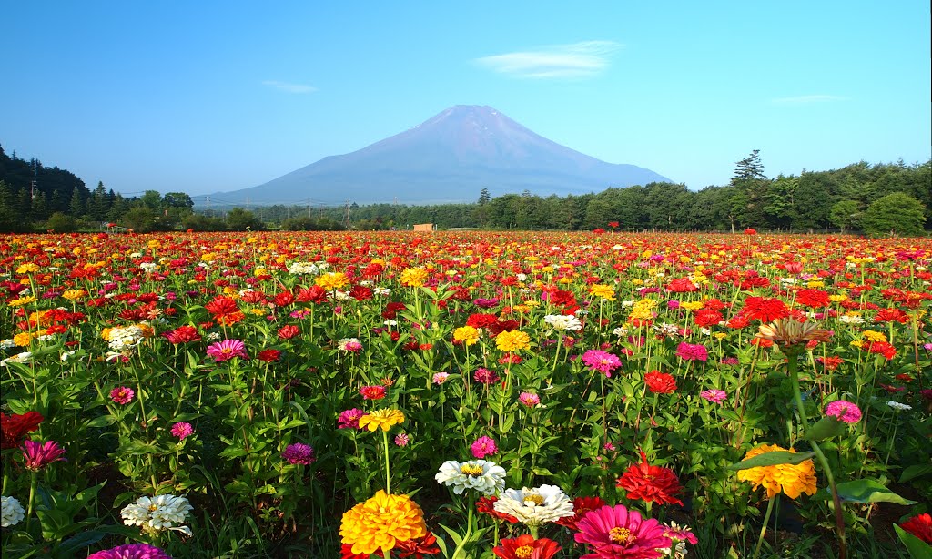 Fuji and flower garden by Tsuru