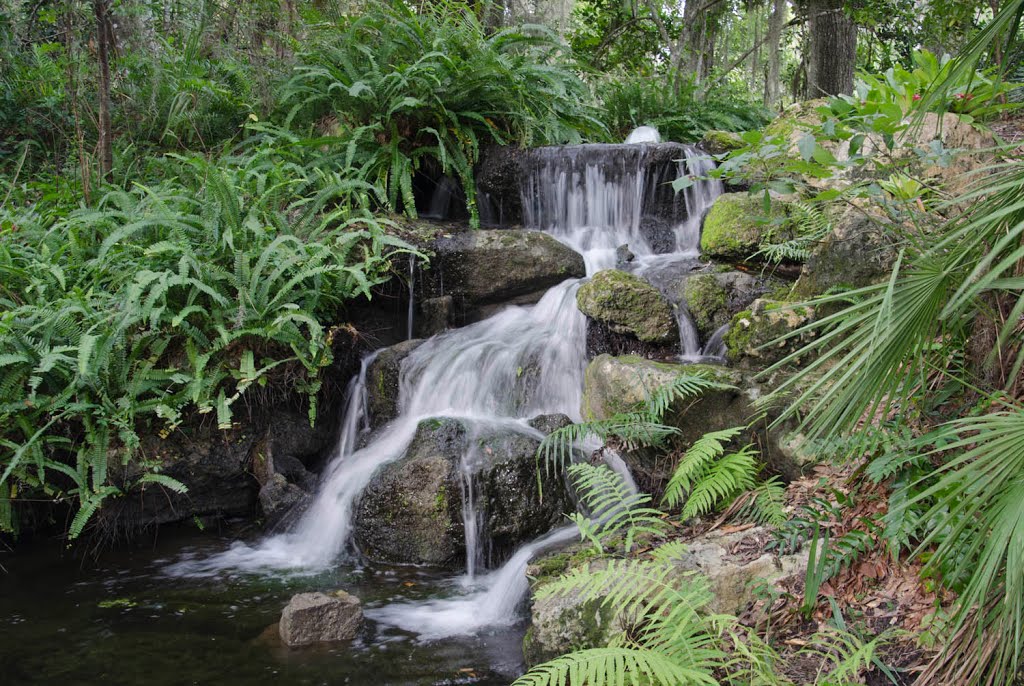 Waterfall at Rainbow Springs State Park by Popcorn Studios