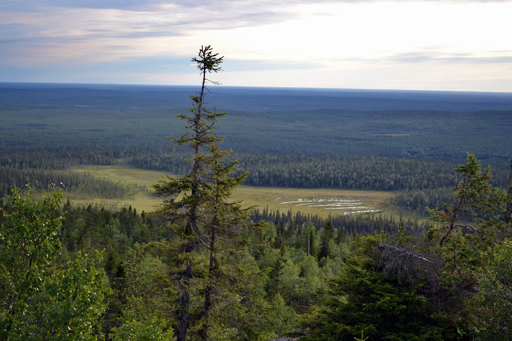 A view from Iso-Syöte towards Romesuo (Pudasjärvi, 20130714) by RainoL