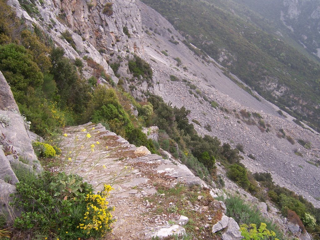 Κοντά στον Αγ. Νείλο κοιτώντας πρός την μεγάλη κατακρύμνηση - Near Ag. Neilos looking back towards the huge landslide by peternik99