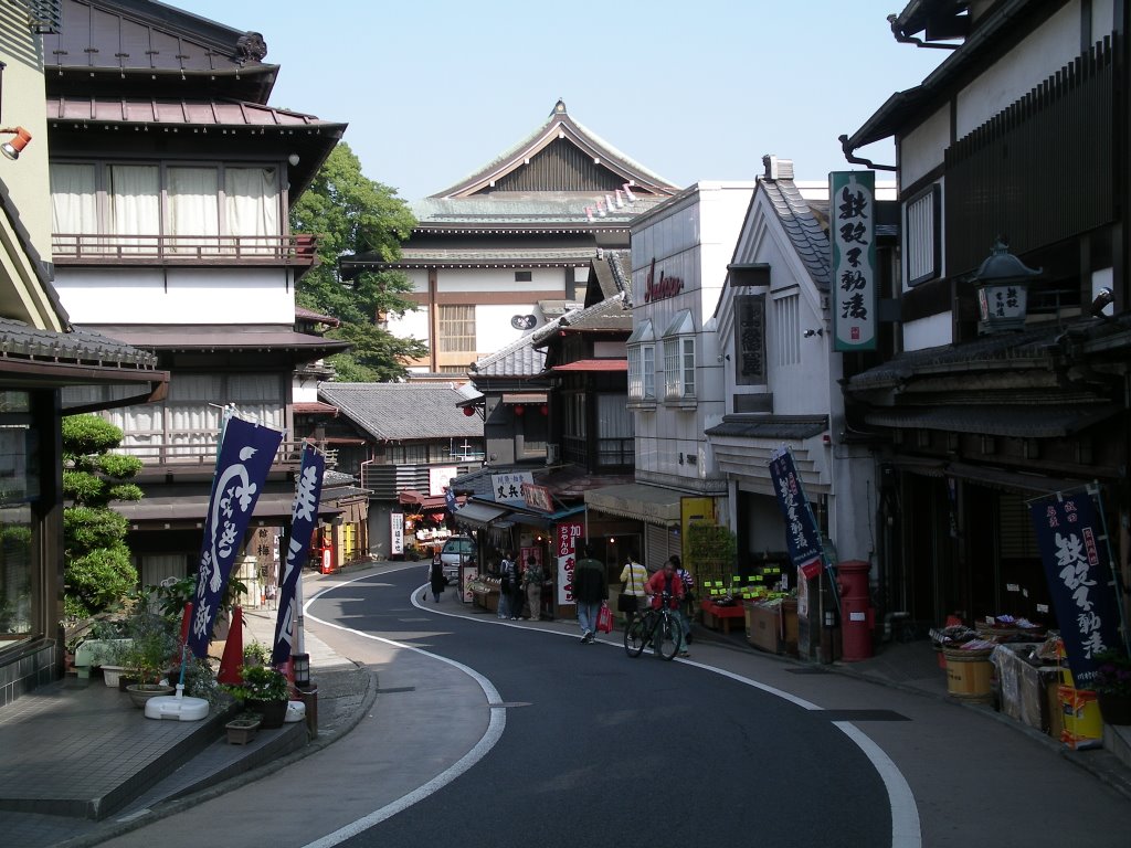 Streets of Narita by silversvs