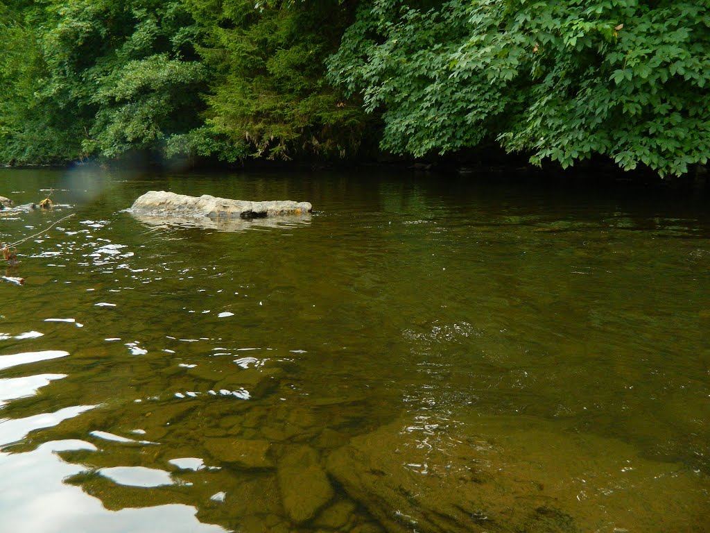 Flusslandschaft, August by 63098MGH