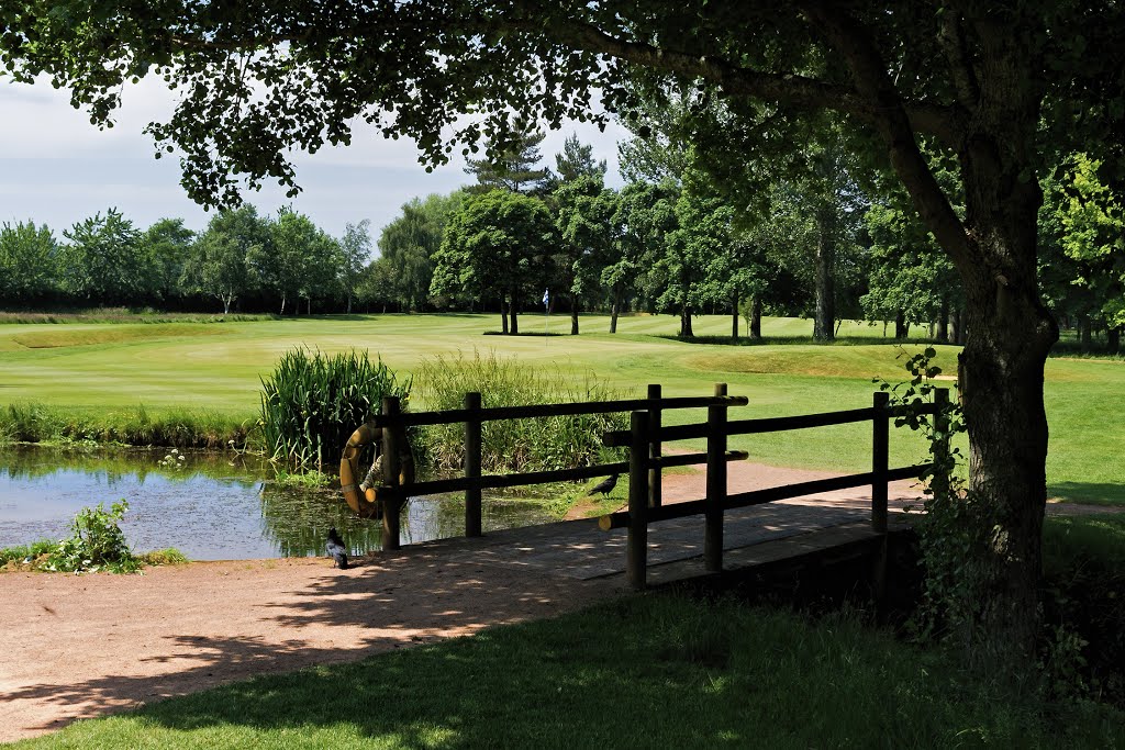 Bridge by the 4th green - June 2013 by Mike Stuckey