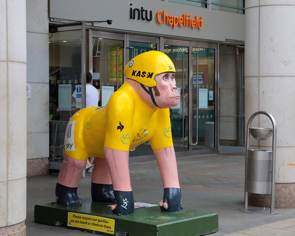 Gogogorilla by norpro