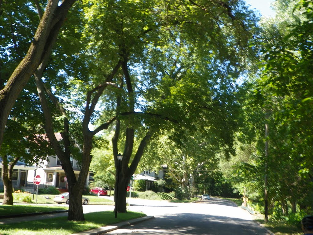 Ft Wayne, Indiana, West Central Neighborhood by MikeFromholt