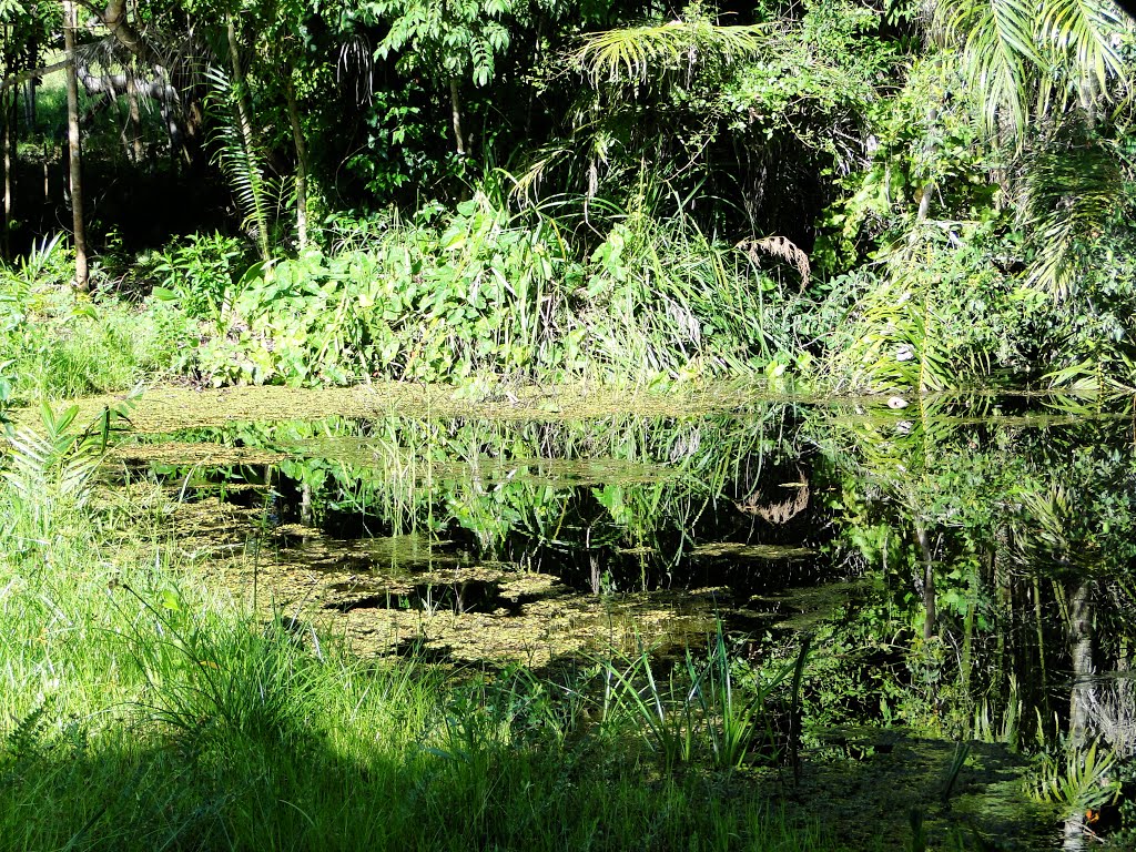 Lake - Busca Vida - Camaçari, Brazil by Caio Graco Machado