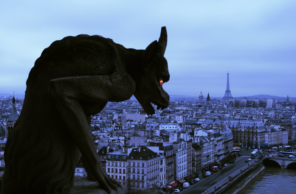 Paris desde Notre Dame by carlos alcolea jimen…