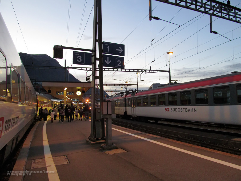 Bahnhof Arth-Goldau / Arth-Goldau Railway Station 阿爾特•戈爾道火車站 by Baycrest