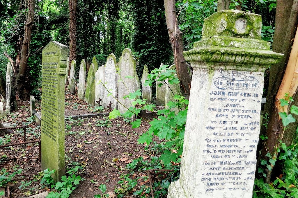 London, Tower Hamlets Cemetery Park by mellis62