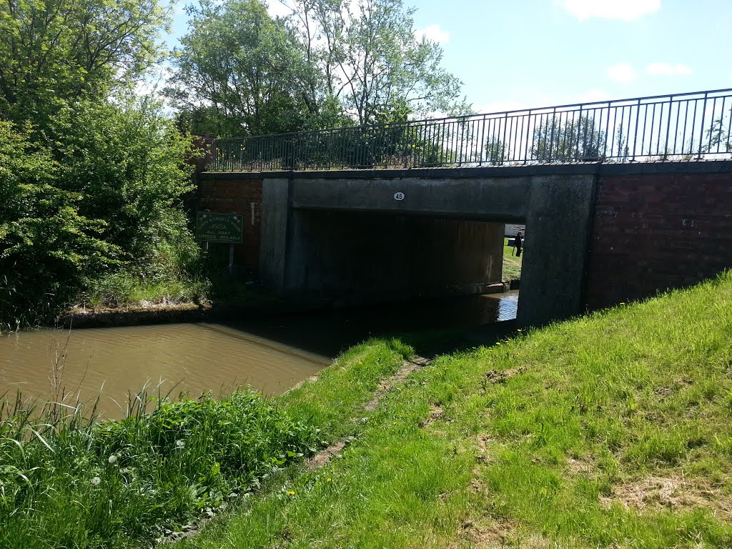 Bridge 45 Grand Union Canal Leicester Branch by quercusia