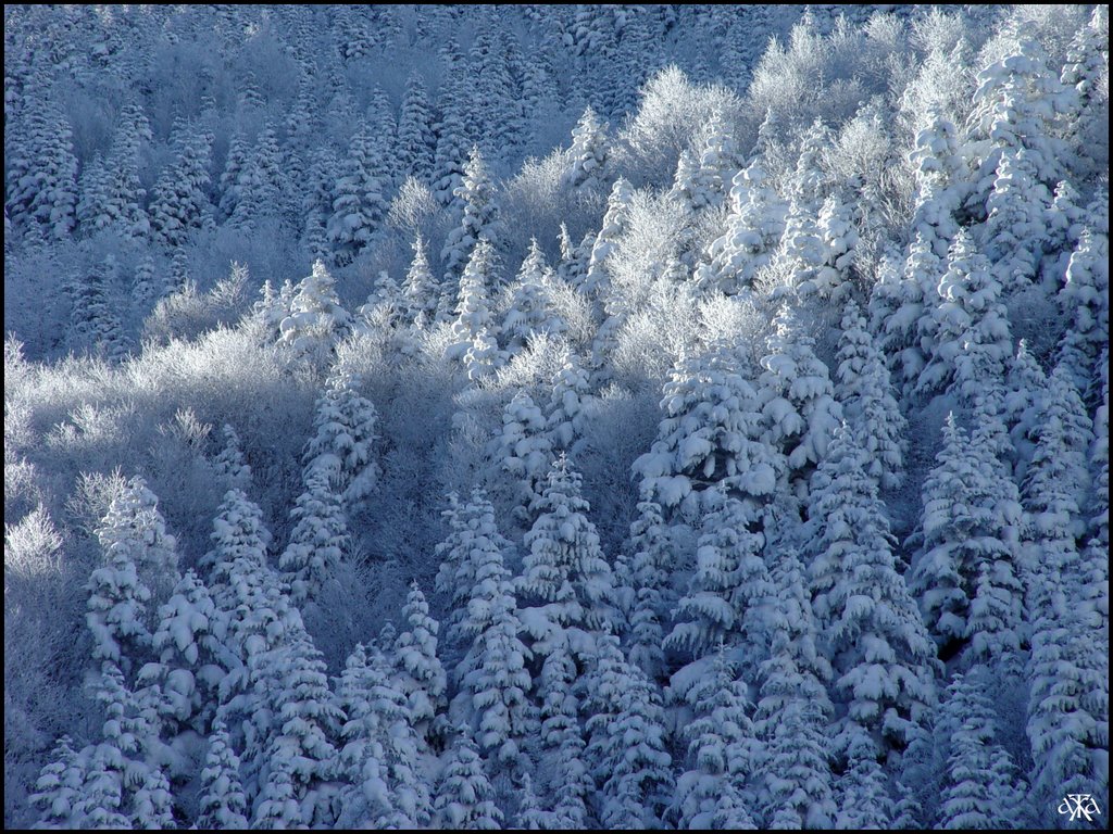 Morning light by ANDRE GARDELLA