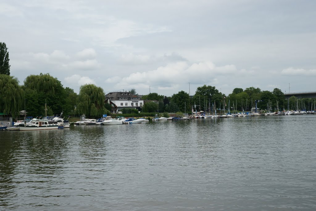 Marina At Metternich by njellis