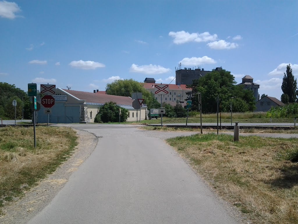 Radweg Klein-Neusiedl by anfangmeister