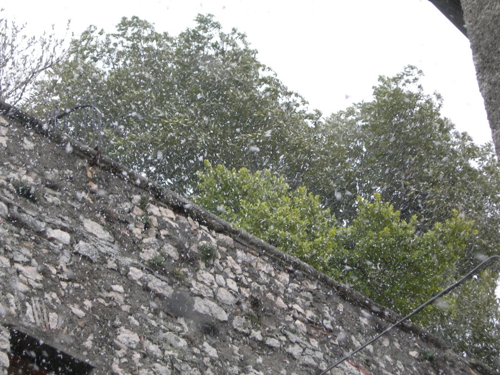 Il giardino del castello mentre nevica by EmanueleFanfarillo