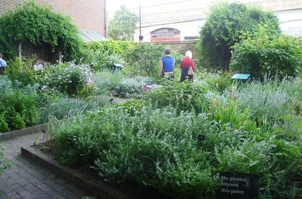 Herb Garden Geffrye Museum by David Sankey