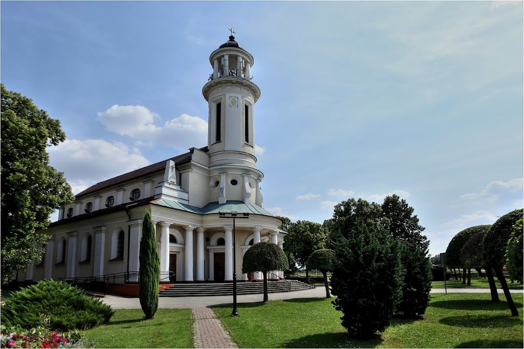 Witaszyce - Kościół Wniebowzięcia Najświętszej Maryi Panny by alex1953