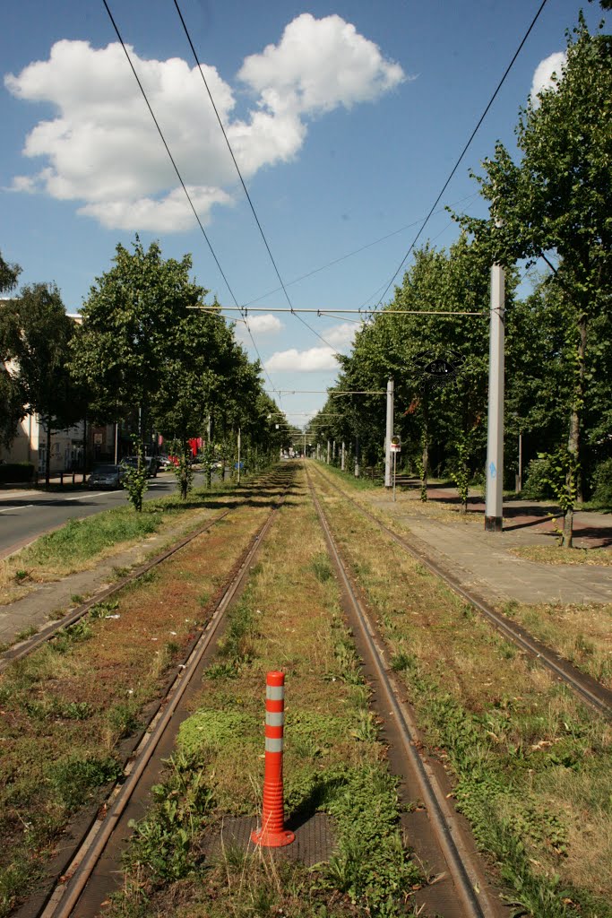 Bremen 2013 by S. Nentwig