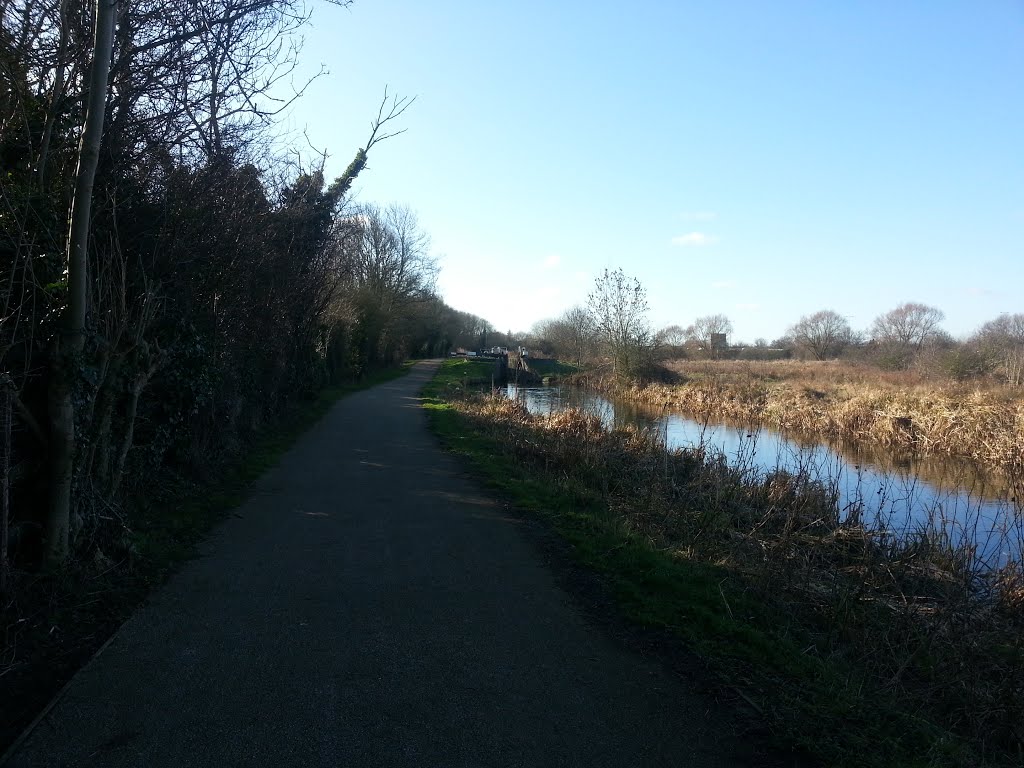 Hardingstone Lock 15 Grand Union Canal Northampton Branch by quercusia