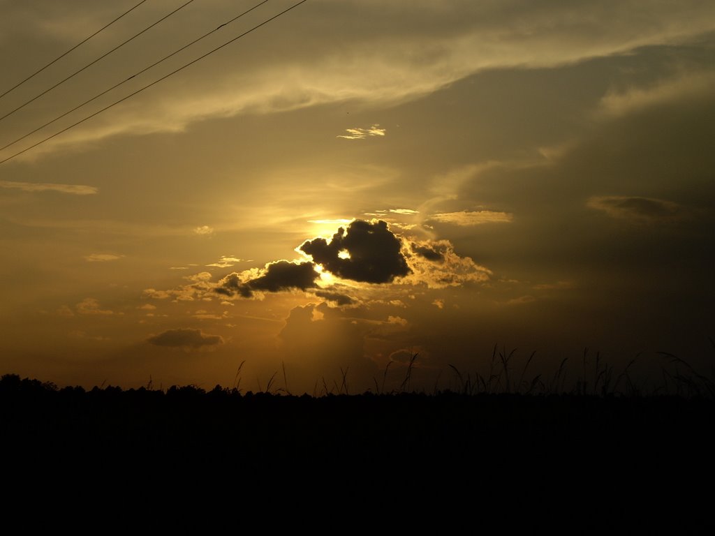 Southern Sunset by M Ramsey Derrick