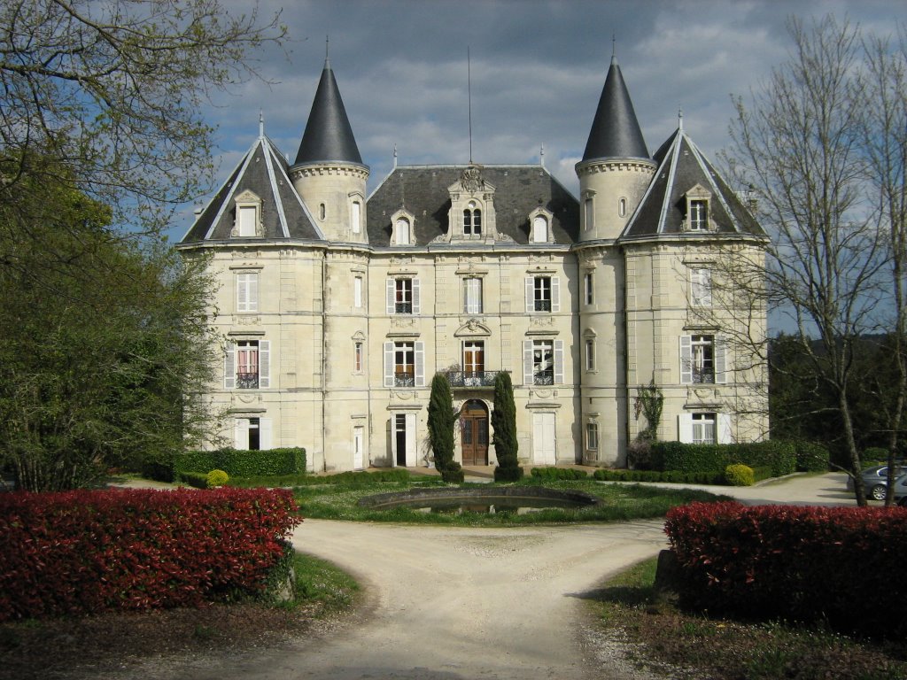 Castle of La Roche Beaulieu (front) by d.martin